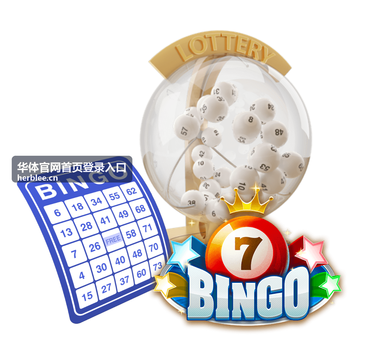 游泳馆开放体验日